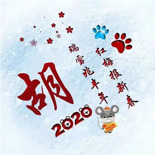  寓意吉祥好兆头的姓氏头像图片瑞雪兆丰年红梅报新春