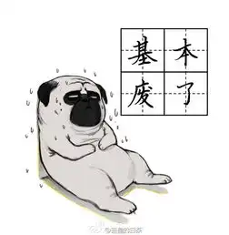 小希头像吾皇巴扎