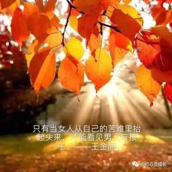  王金丽教授看见关系家庭系统排列工作坊六期招生