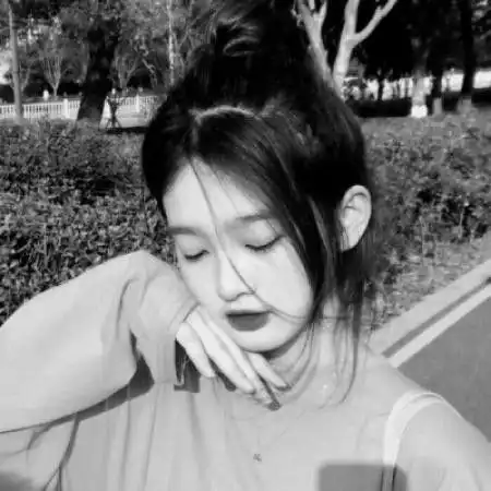 四人头像一人一张分开谈