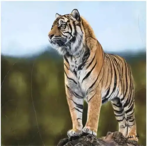  晏子七虎祈福献给2022农历寅虎年