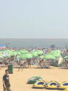  上海奉贤碧海金沙