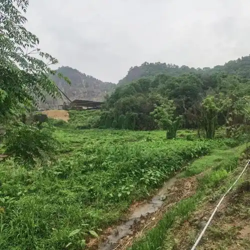  出动40多人,梅州这里拆除5000m2建筑