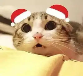 那些年最火的网红头像猫
