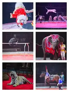  欢度春节2019新春国际马戏小丑嘉年华