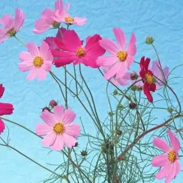  技巧篇,学生高考答题时要注意的小知识点,在无形当中拉分
