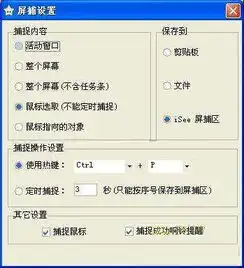  isee图片专家屏幕捕捉功能介绍