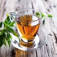  一杯清茶微信头像微信头像图片大全