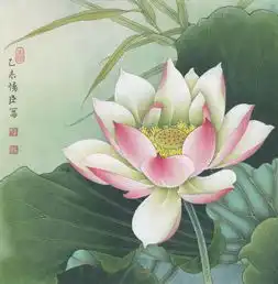  画画丨一起学习清新脱俗工笔荷花