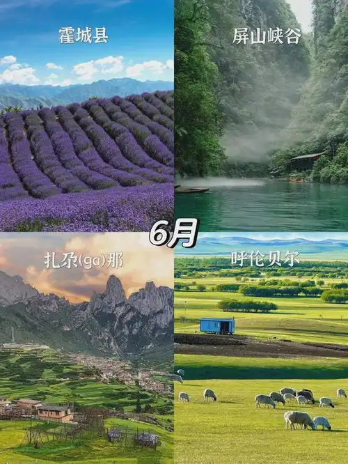  2025全年旅游计划,盘点每月最佳旅行目的地