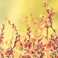  一个人意境动漫女生背影女生头像女生