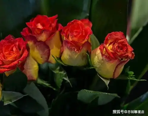  2021不缺桃花的3个星座,个人魅力不断散发,心动就不要放过