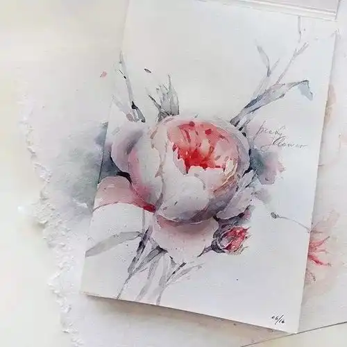  kataucha清新脱俗的水彩