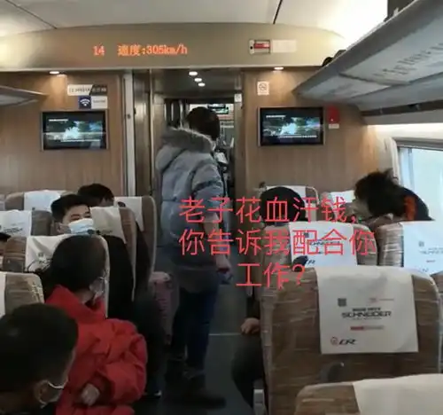  女子乘高铁手机开外放,拒不戴口罩还打伤乘务员,扬言老公来接站
