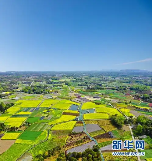  新华访谈张怀东高颜值硬实力新活力成都郫都区这样描绘乡村振兴画卷