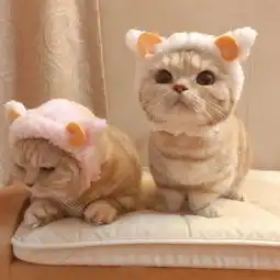  眠安夜话叮您的晚安请签收