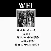 姓韦微信头像大全姓氏