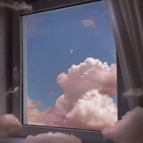  超仙鸭