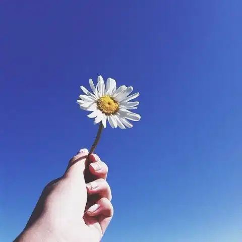  中年之后运势大逆袭,顺心如意的四大生肖