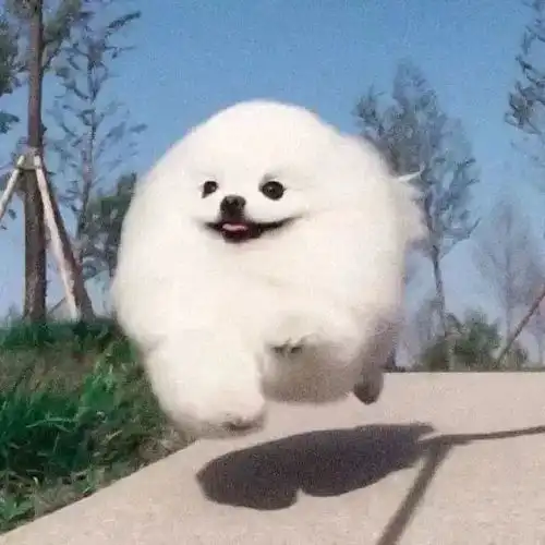  头像好玩搞怪个性