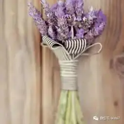  2017微信头像花草,那些花儿