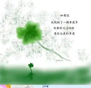  好看的微信头像三叶草微信头像图片大全
