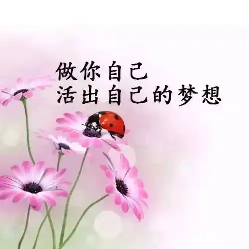  超有个性的短句,独一无二,很有魅力