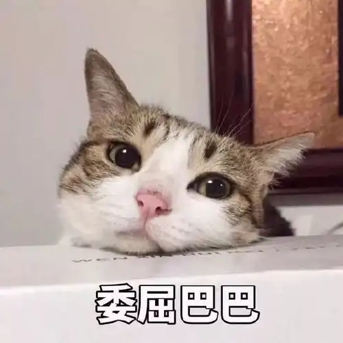 微信头像老人专用让座记