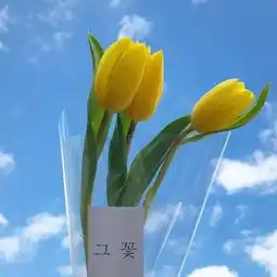  背景图多想换个模样和名字跟你重新认识