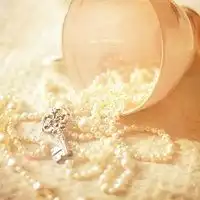  简约静物唯美意境头像女生微信头像图片大全