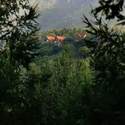  旅行