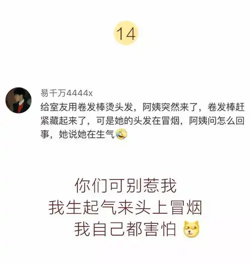  本想活成令人羡慕的样子,却不料活成了搞笑段子