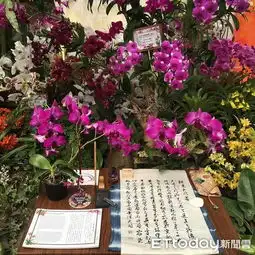  全国盃青农教育兰花景观布置竞赛嘉义大学园艺系夺冠
