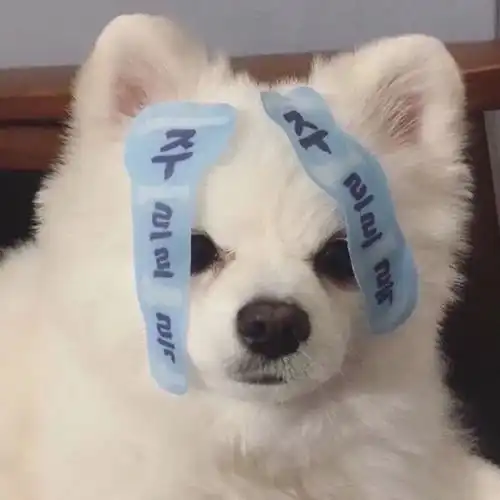  头像清新女生超可爱头像