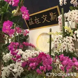  全国盃青农教育兰花景观布置竞赛嘉义大学园艺系夺冠