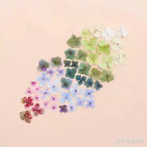 遭遇海难的乐高零件也有出头的一天