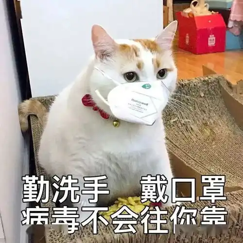  五一小长假,你打算怎么过