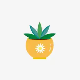 幸运草头像小清新图片卡