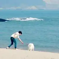  在海边的男生头像,男生在海边的qq头像精选