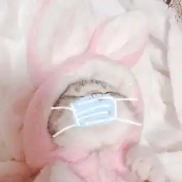  有没有戴口罩的女生头像
