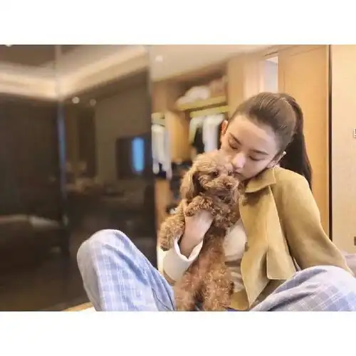  时尚小达人祖鹅上线,春日look小盘点,精致女孩的穿搭满分