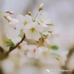  回暖是时候露脚脖了长春的年轻人省省心吧,当心冻出病