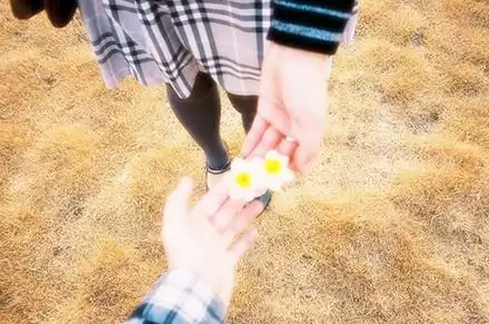  情侣网名又优雅又污的内涵情侣名不要脸小姐和厚脸皮先森的故事