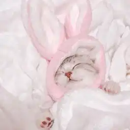 闺蜜双人头像猫咪芭蕾