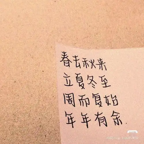  冬至次绵长冬日,愿岁月安暖