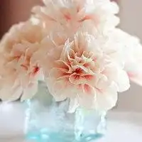 女生头像花朵唯美清新唯