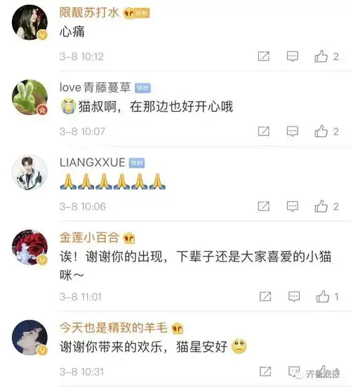  日本网红猫咪去世网友我的头像还是离开了我