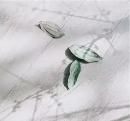  即使没时间读书,你也要知道这100部外国名著里的精华之句