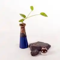  茶韵微信头像品茶茶韵艺术头像图片