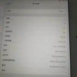  ipadios12系统有什么功能,怎么用